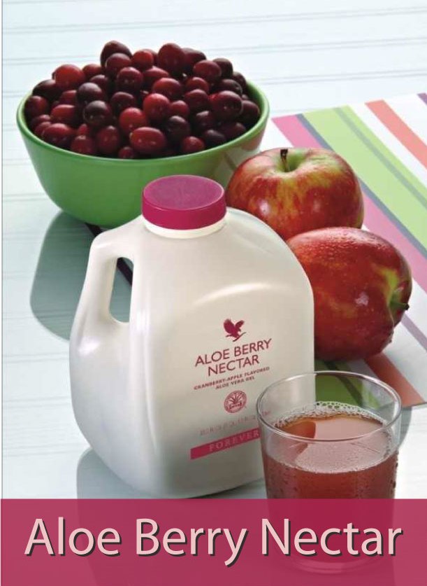 PACK DE 12 FOREVER ALOE BERRY NECTAR