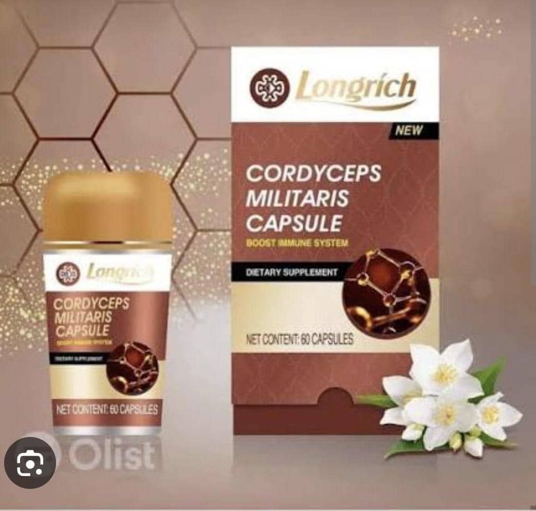 PACK DE 6 CORDYCEPS MILITARIS