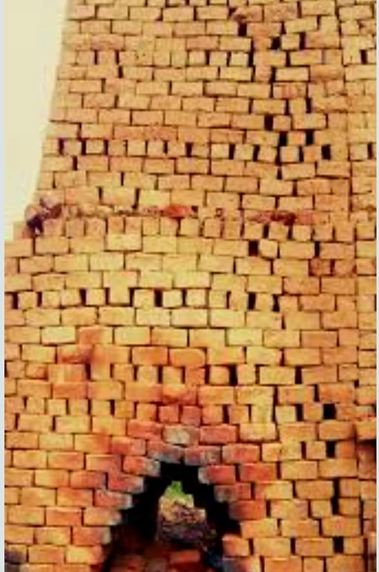 Strong Clay Bricks
