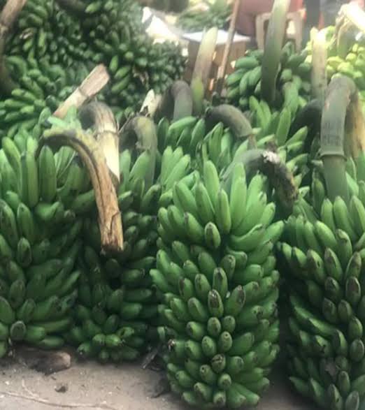 A package of bunches of bananas(matooke)